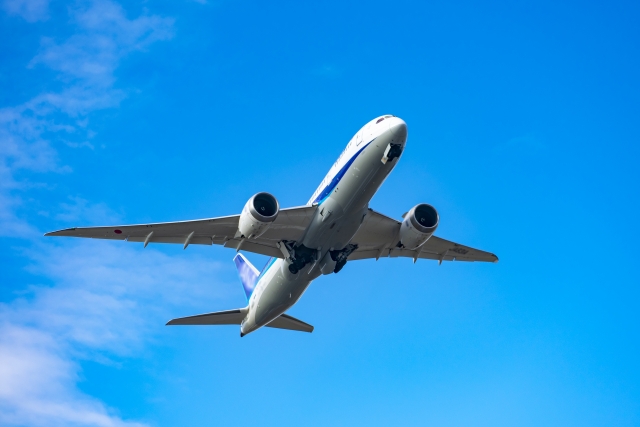 妊婦が飛行機に乗る時の注意点